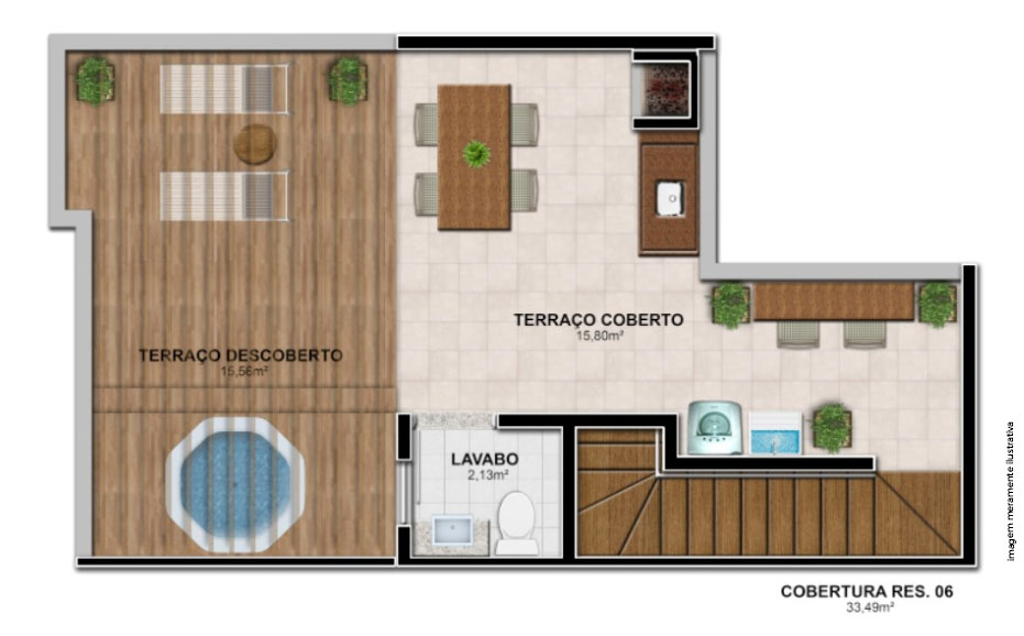 planta6
